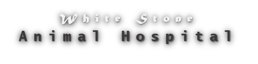 White Stone Animal Hospital